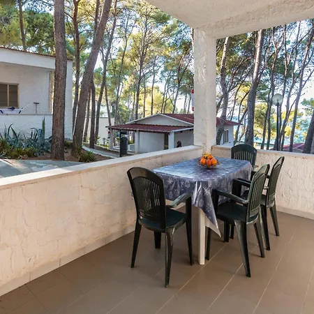 Sfinal Residence-2
