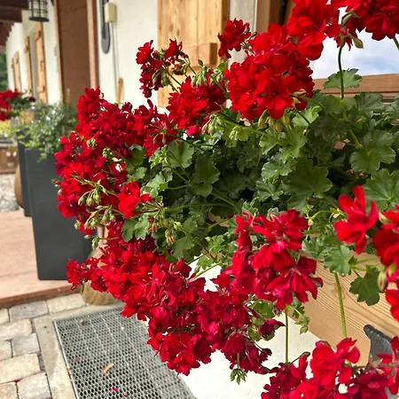 Auf'm Feggenlehen-3