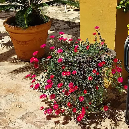 B&B Sant'Eufemia-2