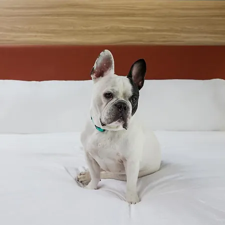 Candlewood Suites Junction City - Ft. Riley By Ihg-3