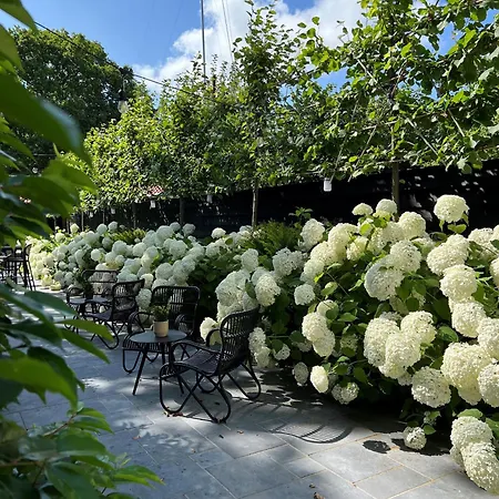 Poorter Boutique Hotel Brielle-2