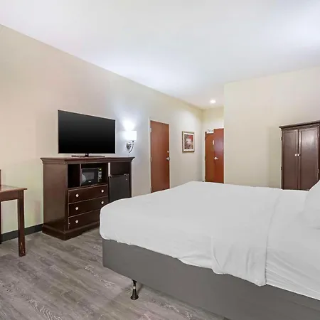 Best Western Plus Greenville South-3