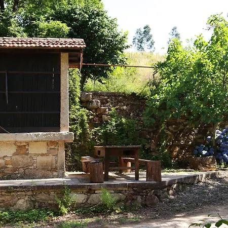 Moleiro da Costa Má-3