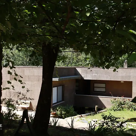 Moleiro da Costa Má-2