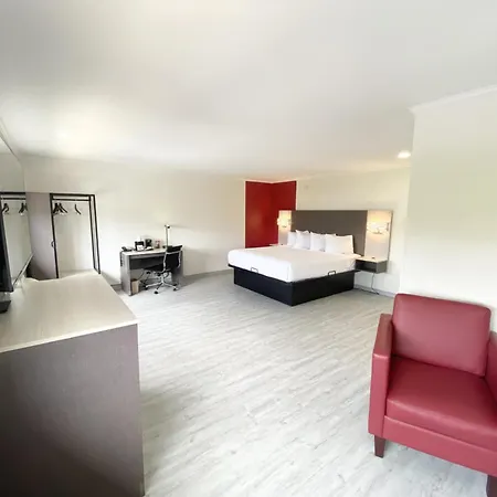 Ramada By Wyndham Tuscaloosa-3