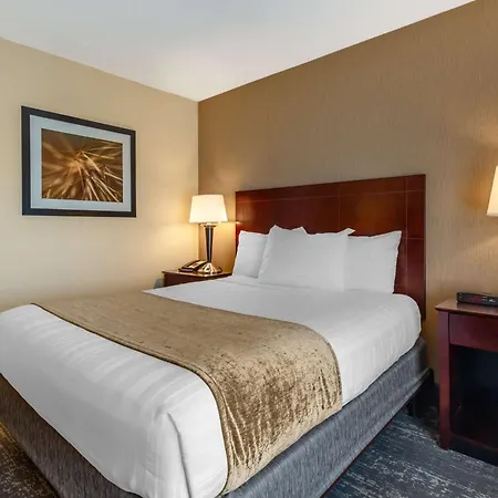 Best Western Braintree Inn-3