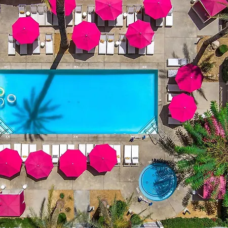 The Paloma Resort-3