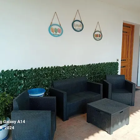 La Cycas-3