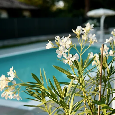 Caterina Residence-3
