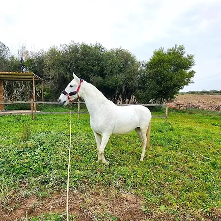 Herdade Moita Mar - Country & Sea-2