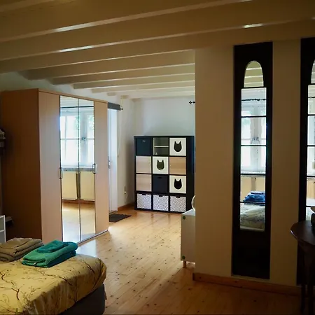 BnB De Peelvos-3