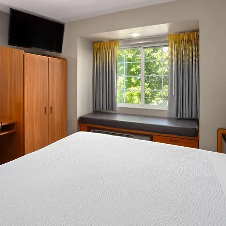Microtel Inn & Suites By Wyndham Ann Arbor-3