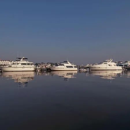 Hyatt Regency Chesapeake Bay Golf Resort, Spa & Marina-3
