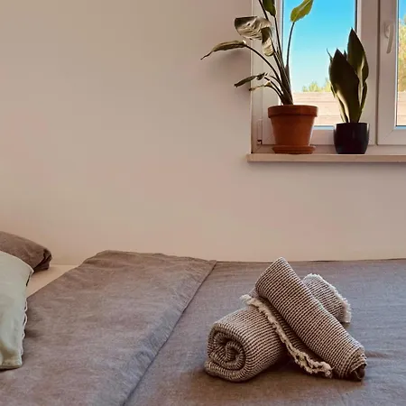Saone Guesthouse - Coworking & Retreat Location-3