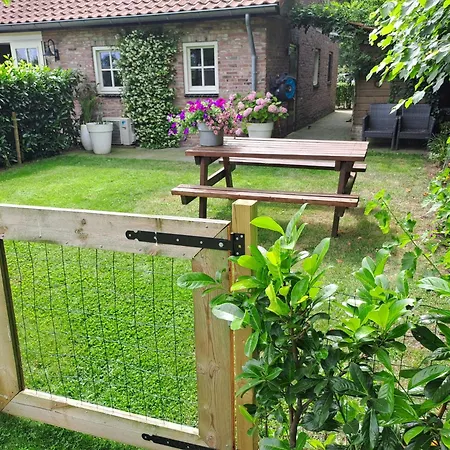 Guesthouse Valkenswaard-2