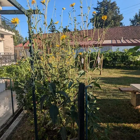 Casa Do Olival-2