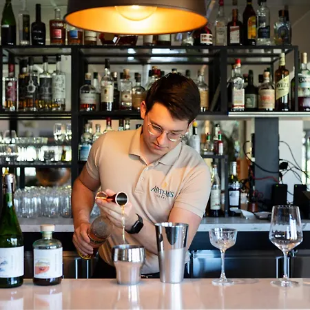 Artémis Hôtel&Spa Bistro Coquet-2
