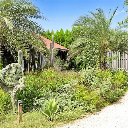 Red Palm Village-3