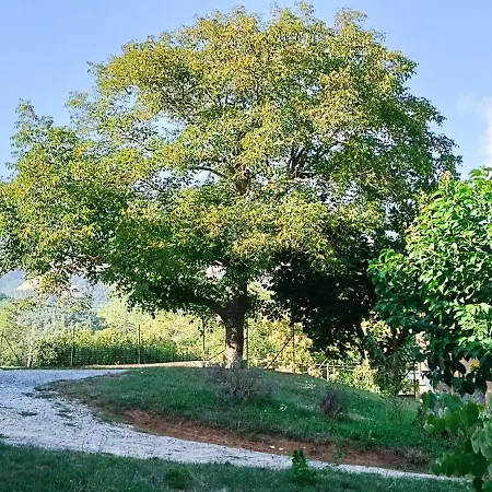 Dolcedorme del Pollino-2