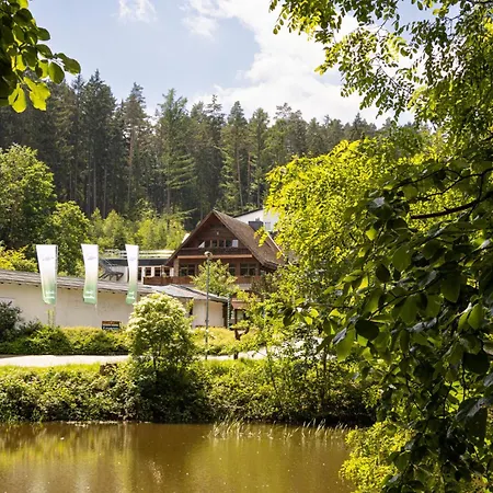 Waldhotel Ehrental-2