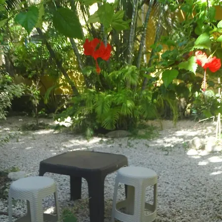 Casa Abanico Tulum-2