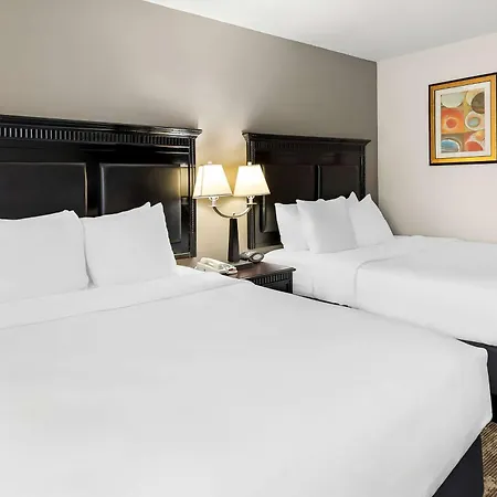 Best Western Saluki Inn-3
