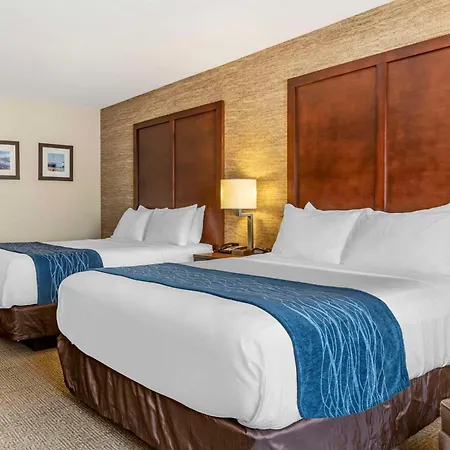Comfort Inn & Suites Ludington Near Us-10-2