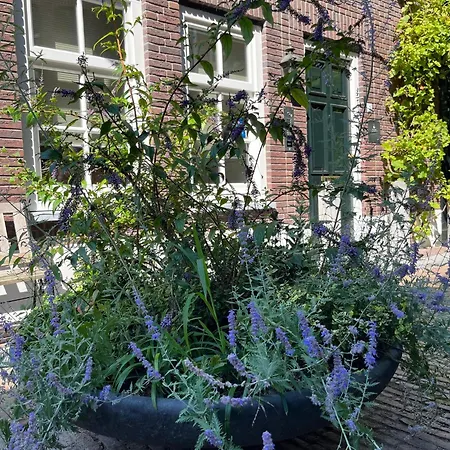 Boutique Hotel Nieuw Uilenburg-2
