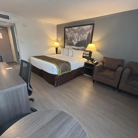 Super 8 By Wyndham Macleod Trail Calgary-3
