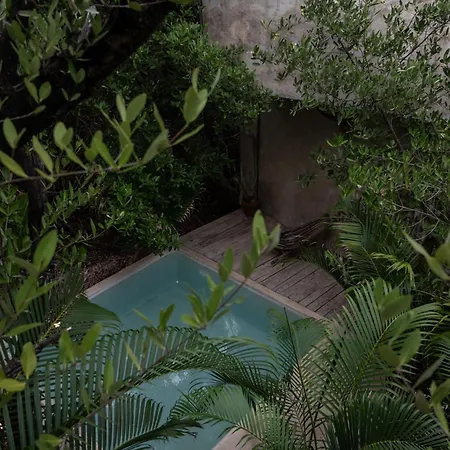 Casa Coyote Tulum-2
