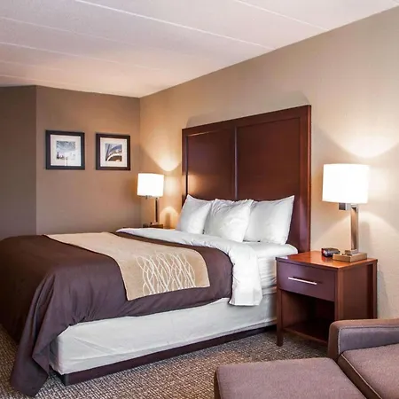 Quality Inn & Suites Orland Park - Chicago-3