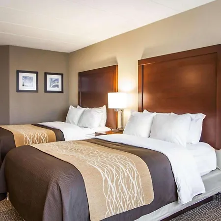 Quality Inn & Suites Orland Park - Chicago-2