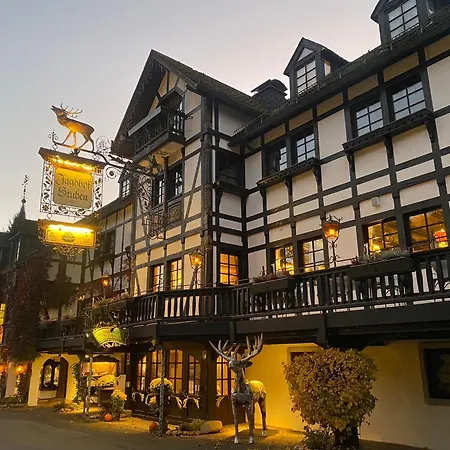 Hotel Jagdhof Glashütte-2
