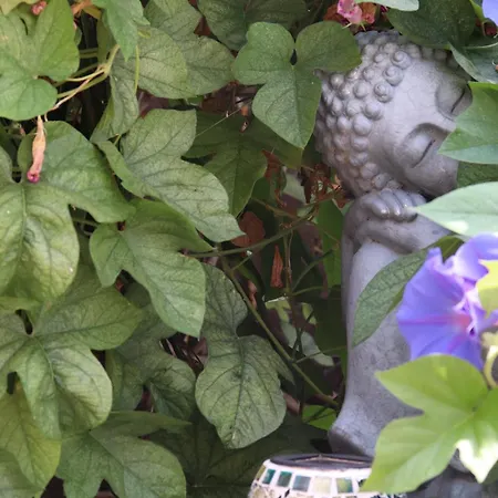 Hostal Residencial La Paloma-2