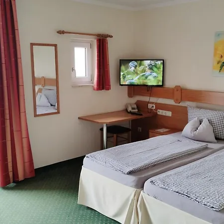Hotel Fortuna-3
