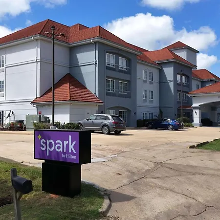 Spark By Hilton Brandon-2