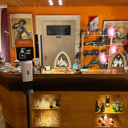 Hotel Villa Arnold-3