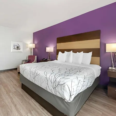Best Western Plus Buda Austin Inn & Suites-2
