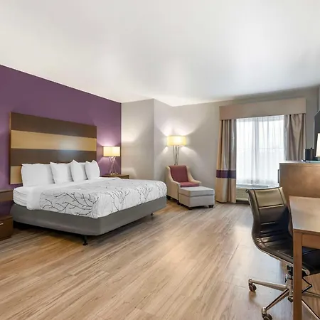 Best Western Plus Buda Austin Inn & Suites-3