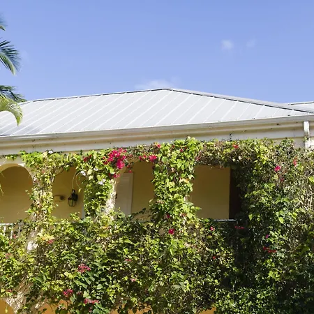 The Caribbean Court Boutique Hotel-3