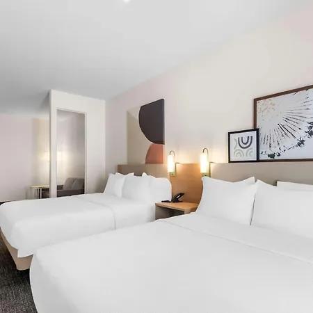 Spark By Hilton Pearland-3
