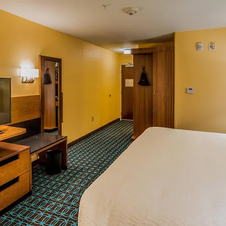 Fairfield Inn & Suites By Marriott Atlanta Fairburn-3