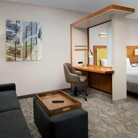 Springhill Suites Potomac Mills Woodbridge-2