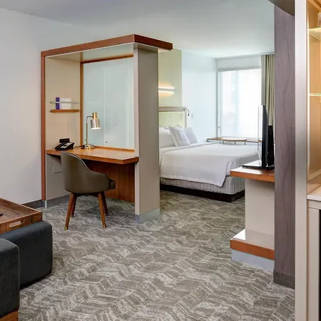 Springhill Suites By Marriott Saginaw-3