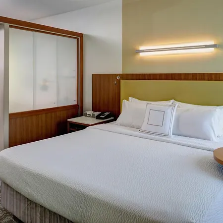 Springhill Suites By Marriott Saginaw-2