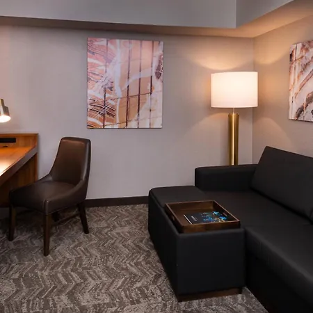 Springhill Suites By Marriott Pittsburgh North Shore-3