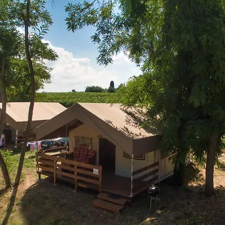 Sunflower Camping-3