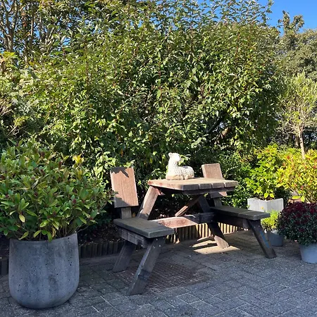 B&B Vloedlijn Texel-2