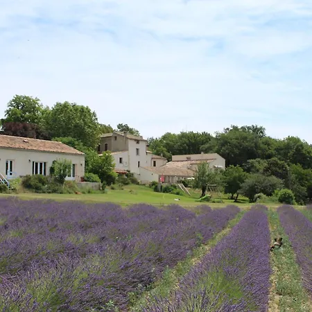 Les Ânes de Forcalquier-2