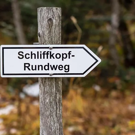 Nationalpark-Hotel Schliffkopf-3